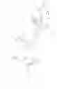 Fig. 03 - Herpes treatment