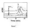 Fig. 02 - Barley with low levels of hordeins