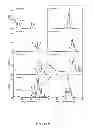 Fig. 07 - Barley with low levels of hordeins