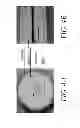 Fig. 05 - METHODS FOR EXTENDING THE SHELF LIFE OF PROCESSED CUCURBITA PEPO VEGETABLES