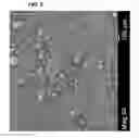 Fig. 03 - Low sodium salt composition