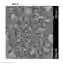 Fig. 07 - Low sodium salt composition