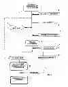 Fig. 02 - METHOD FOR PRODUCING A SOLUBLE COCOA PRODUCT FROM COCOA POWDER