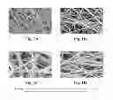 Fig. 02 - NANOFIBERS CONTAINING LATENT REACTIVE GROUPS