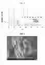 Fig. 02 - POSITIVE ELECTRODE ACTIVE MATERIAL FOR LITHIUM SECONDARY BATTERY AND PRODUCTION METHOD OF SAME