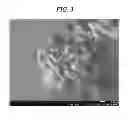 Fig. 03 - POSITIVE ELECTRODE ACTIVE MATERIAL FOR LITHIUM SECONDARY BATTERY AND PRODUCTION METHOD OF SAME