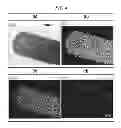 Fig. 04 - POSITIVE ELECTRODE ACTIVE MATERIAL FOR LITHIUM SECONDARY BATTERY AND PRODUCTION METHOD OF SAME