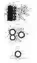 Fig. 08 - Dry ink for digital printing