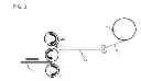 Fig. 03 - Removable Protective Surface Flooring
