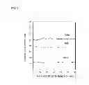 Fig. 10 - Modified polysilazane film and method for producing gas barrier film
