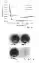 Fig. 12 - High sulfur content copolymers and composite materials and electrochemical cells and optical elements using them