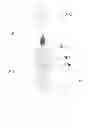 Fig. 01 - Edible Fiber Matrix Candle