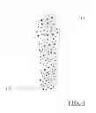 Fig. 02 - Edible Fiber Matrix Candle