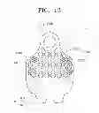 Fig. 14 - Membrane for alveolar bone regeneration
