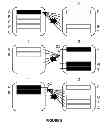 Fig. 05 - Comprehension normalization