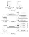 Fig. 08 - Comprehension normalization