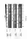 Fig. 04 - METHODS FOR AMPLIFYING HEPATITIS C VIRUS NUCLEIC ACIDS