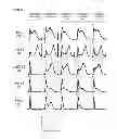 Fig. 03 - CONDITIONALLLY REPLICATION-COMPETENT ADENOVIRUS
