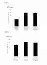 Fig. 04 - CONDITIONALLLY REPLICATION-COMPETENT ADENOVIRUS