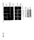 Fig. 03 - Translational dysfunction based therapeutics