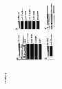 Fig. 04 - Translational dysfunction based therapeutics