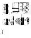 Fig. 12 - Translational dysfunction based therapeutics