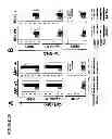 Fig. 30 - Translational dysfunction based therapeutics
