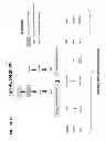 Fig. 35 - Translational dysfunction based therapeutics