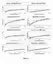 Fig. 26 - METHODS OF PREDICTING AND DETERMINING MUTATED mRNA SPLICE ISOFORMS