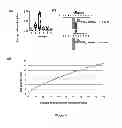 Fig. 27 - METHODS OF PREDICTING AND DETERMINING MUTATED mRNA SPLICE ISOFORMS