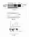 Fig. 06 - Methods and compositions for enhancing proteasome activity