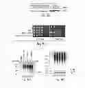 Fig. 09 - Methods and compositions for enhancing proteasome activity