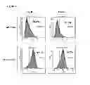 Fig. 03 - Cell-based methods for measuring activity of a protein inhibitor