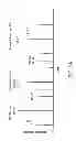 Fig. 05 - Isotopic recoding for targeted tandem mass spectrometry