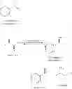 Fig. 04 - (R)- SELECTIVE AMINATION