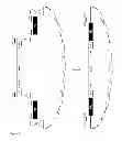 Fig. 02 - cells and use thereof