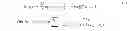 Fig. 05 - Electrokinetic confinement of neurite growth for dynamically configurable neural networks
