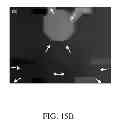Fig. 22 - Electrokinetic confinement of neurite growth for dynamically configurable neural networks