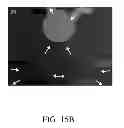 Fig. 22 - Electrokinetic confinement of neurite growth for dynamically configurable neural networks