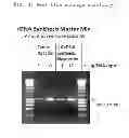Fig. 03 - Compositions and Methods for cDNA Synthesis