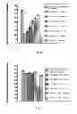 Fig. 04 - Protein extraction