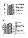 Fig. 06 - Protein extraction
