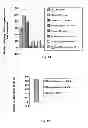 Fig. 08 - Protein extraction