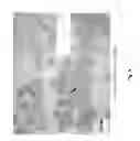 Fig. 09 - Atomic layer deposition inverted passivated surface acoustic wave sensor for early detection of biofilm growth
