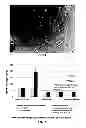 Fig. 04 - MICROFLUIDIC MODULE AND USES THEREOF