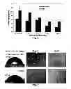 Fig. 05 - MICROFLUIDIC MODULE AND USES THEREOF