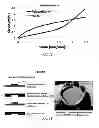 Fig. 09 - MICROFLUIDIC MODULE AND USES THEREOF