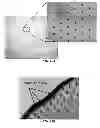Fig. 11 - MICROFLUIDIC MODULE AND USES THEREOF
