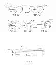 Fig. 02 - LANCE DEVICE AND ASSOCIATED METHODS FOR DELIVERING A BIOLOGICAL MATERIAL INTO A CELL