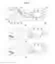 Fig. 08 - Microfluidic unit, microfluidic disk, microfluidic disk system, and method for biochemical assays